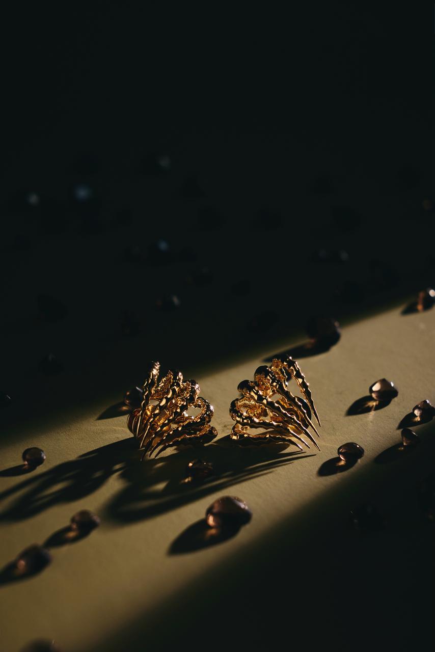 Langmuir Earring