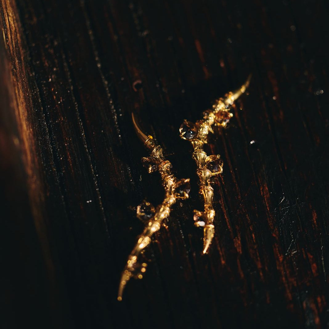 Strait Earrings